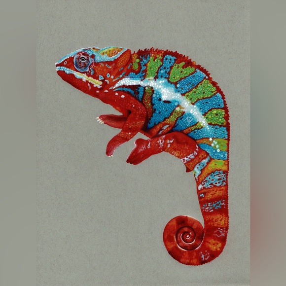 Original Art Prints Chameleon - Picture 2 of 2